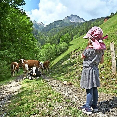 Bed And Breakfast - Die Aelplersuit Fuer Backpackers Im Berghuesli Linthal Екстер'єр фото