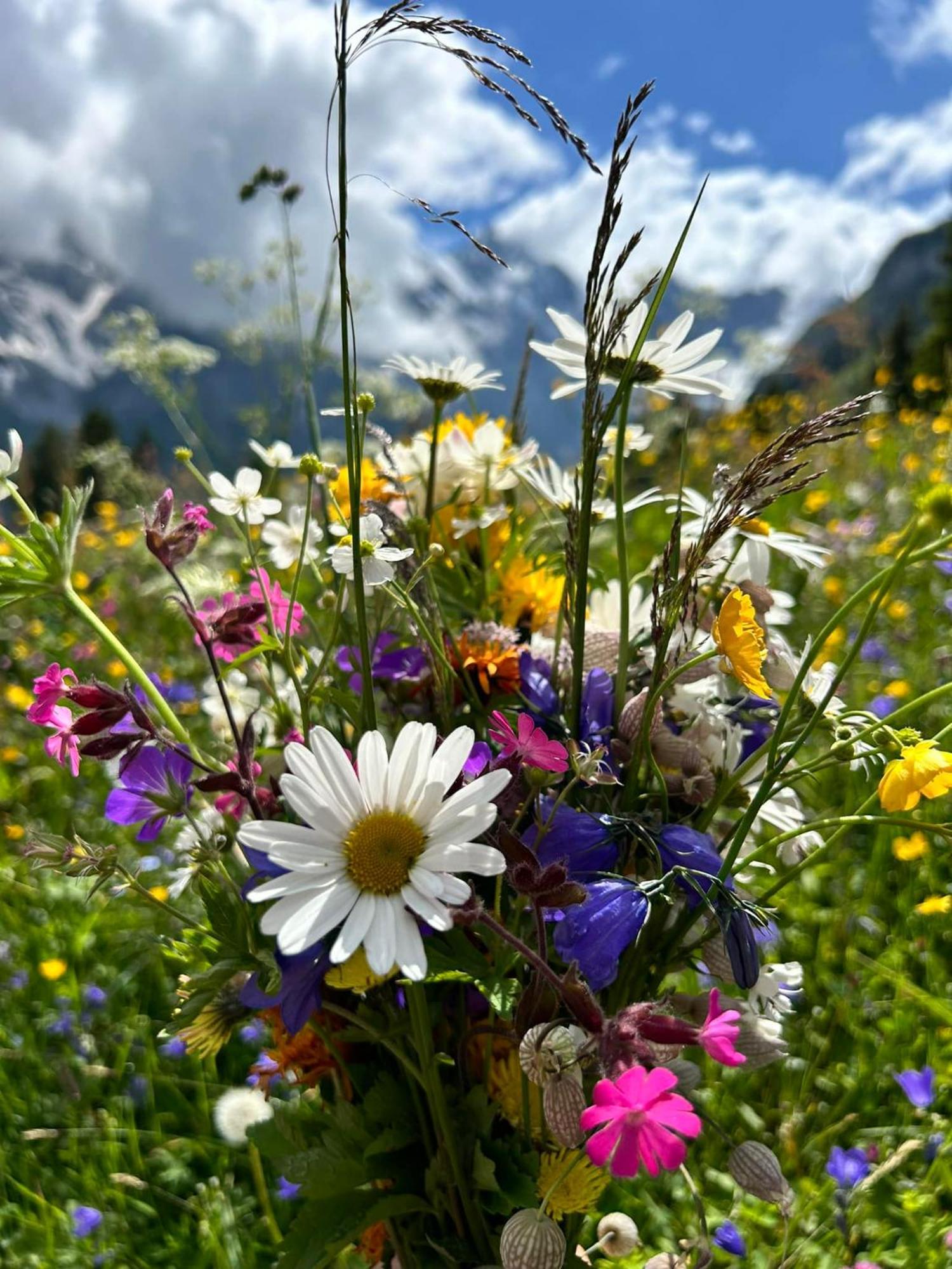 Bed And Breakfast - Die Aelplersuit Fuer Backpackers Im Berghuesli Linthal Екстер'єр фото