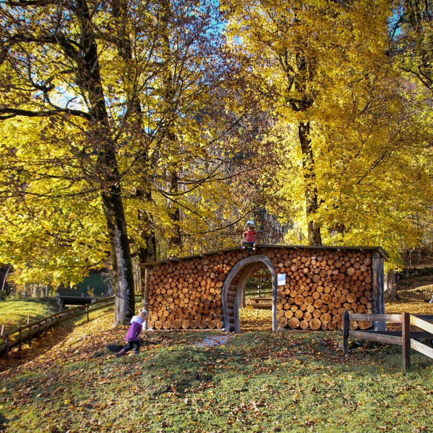 Bed And Breakfast - Die Aelplersuit Fuer Backpackers Im Berghuesli Linthal Екстер'єр фото