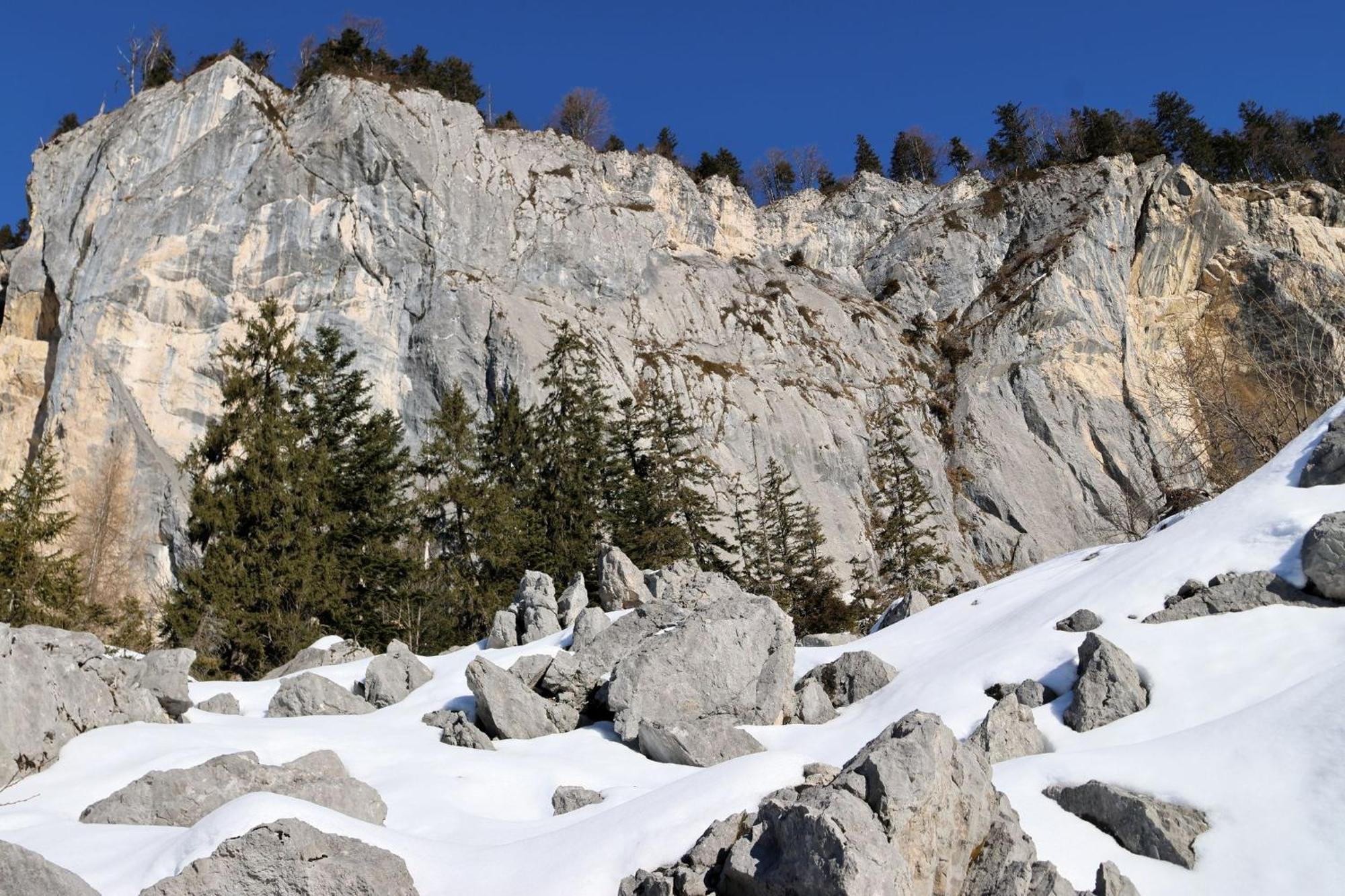 Bed And Breakfast - Die Aelplersuit Fuer Backpackers Im Berghuesli Linthal Екстер'єр фото