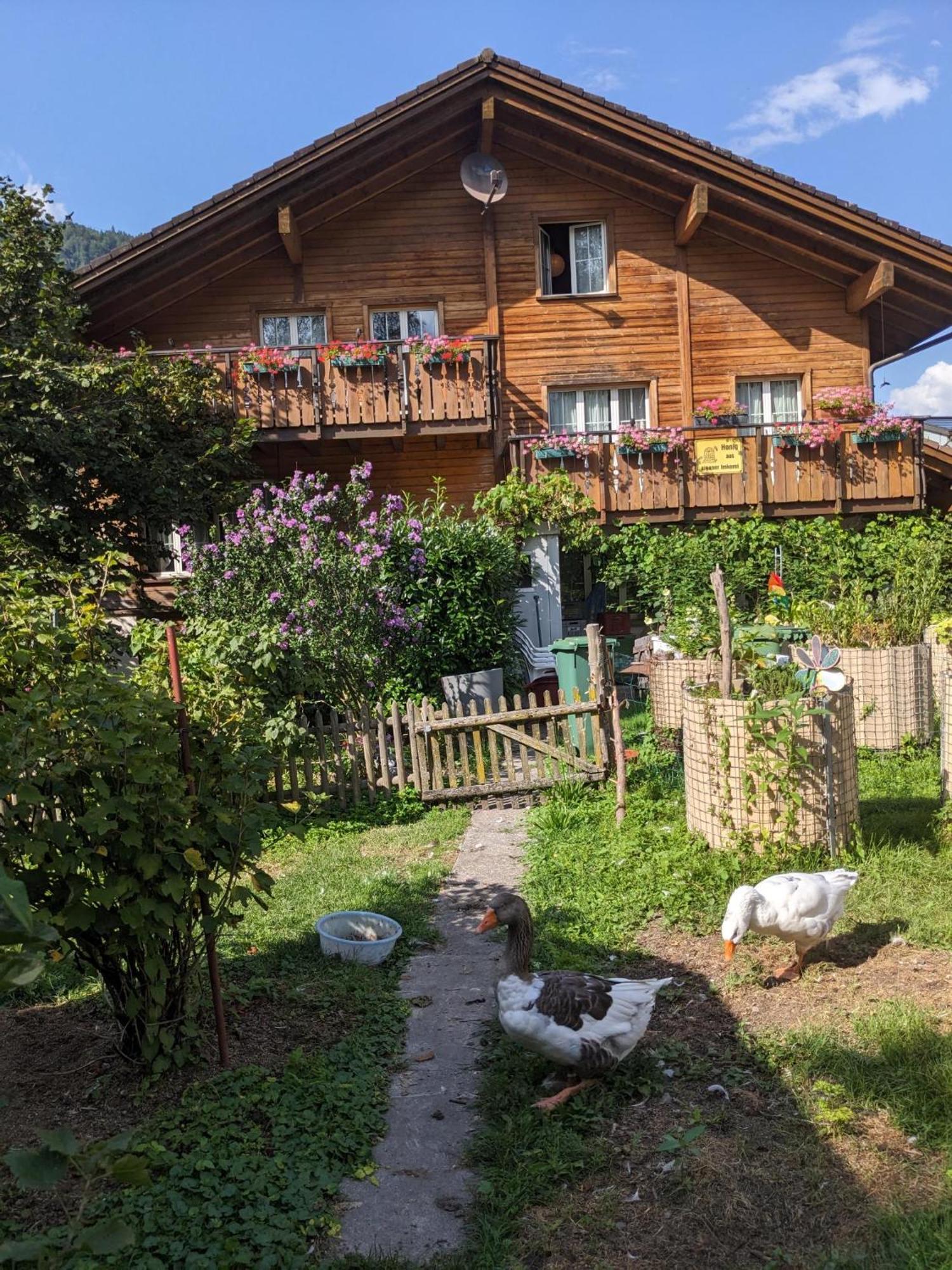 Bed And Breakfast - Die Aelplersuit Fuer Backpackers Im Berghuesli Linthal Екстер'єр фото