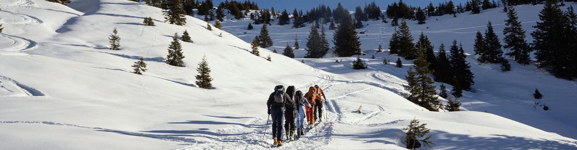 Bed And Breakfast - Die Aelplersuit Fuer Backpackers Im Berghuesli Linthal Екстер'єр фото